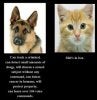 Dogs.jpg