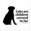 lab_are_fur_children.jpg