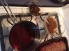 Black Plum Gastrique.jpg