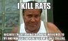 rats.jpg