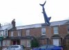landshark.jpg