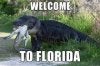 florid.jpg