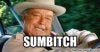 sumbitch.jpg