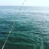 IMG_20161030_164251.jpg
