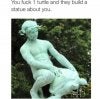 turtle7.jpg