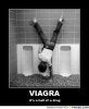 Viagra77.jpg