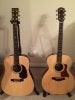 Martin & Taylor.jpg