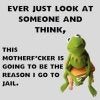 kermit-frog-friend-jail.jpg