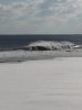 snowy-1.jpg