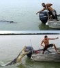 crocs.jpg