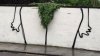 nicebush.jpg
