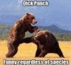 dikpunch.jpg