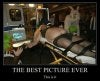 best pic ever.jpg