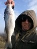 Rockfish 2-25-17.jpg