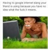 barry.jpg