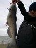 24 Inch Catfish.jpg