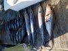 20170317_172715.jpg