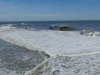 IMG_0406.JPG