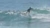 IMG_1013.JPG