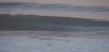 paddleout.JPG