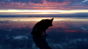 3CFAF4E2-0251-4834-B5B4-FB81C44BF898.png