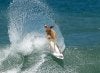 Surfer_donkey.jpg