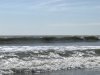 A5C861FF-B75E-4F0B-B8B0-E1F2AE6C6516.jpeg