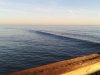 20140201_072642.jpg