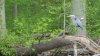 20180506_155143.jpg