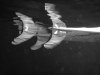 DSCF0850.JPG