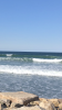 EECF2CDB-F295-47AF-A7BD-BBB741501E7F.png