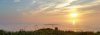 20180727_054538_resized.jpg