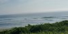 20180727_081157_resized.jpg
