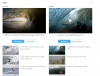 Screen Shot 2018-08-01 at 7.37.26 PM.png