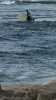 IMG_7329.PNG