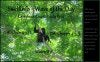 CR_CarribeanCoast_SIWaveoftheDay_Aug9c2.jpg