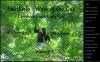 CR_CarribeanCoast_SIWaveoftheDay_Aug10c1.jpg