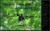 CR_CarribeanCoast_SIWaveoftheDay_Aug11c1.jpg