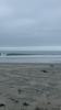 5F7D5466-EB6E-42BE-9FC5-0211F48488FF.png