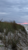 8FA7D1E7-533E-4715-B21B-10D703D4C423.png