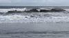 20AB4D8F-8FD5-4608-9797-B9F787CD03AE.png