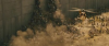 upload_2018-11-29_13-9-29.png
