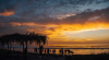 upload_2019-1-28_15-42-51.png