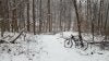 20190211_163946.jpg