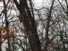 20190215_155514.jpg