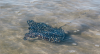 upload_2019-2-18_0-37-48.png