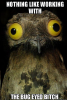 upload_2019-2-22_9-2-26.png