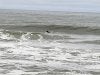 20190302_133700.jpg
