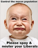 upload_2019-3-13_20-55-30.png