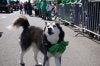 DSC03042.JPG